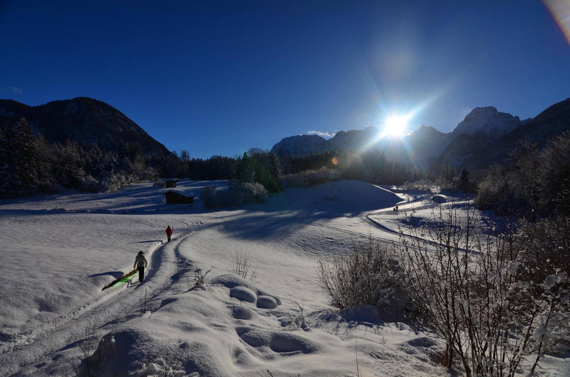 Appartamento Haus Caecilia Sankt Martin bei Lofer Esterno foto